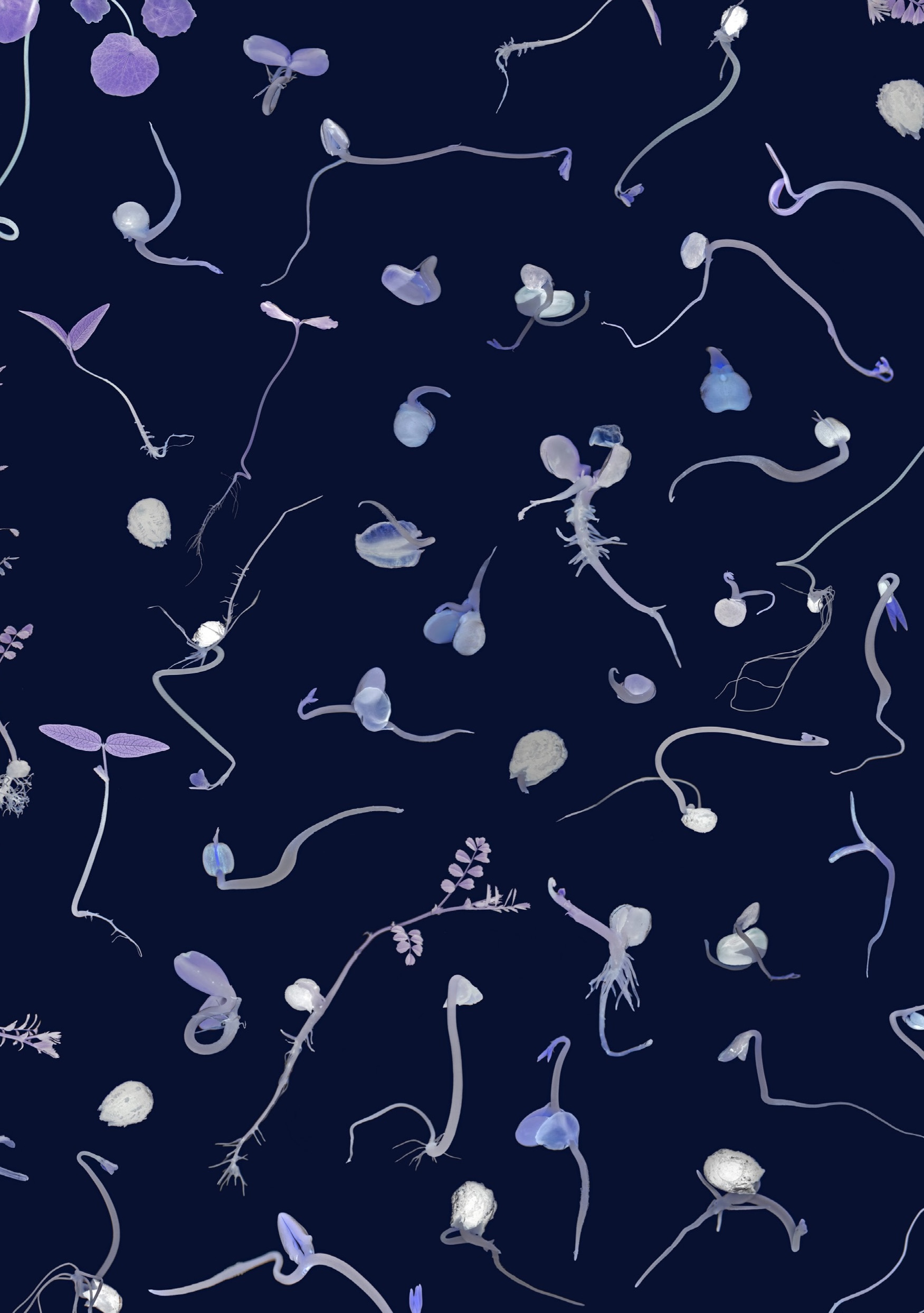 Hestercombe Gallery June23 Flyer V3