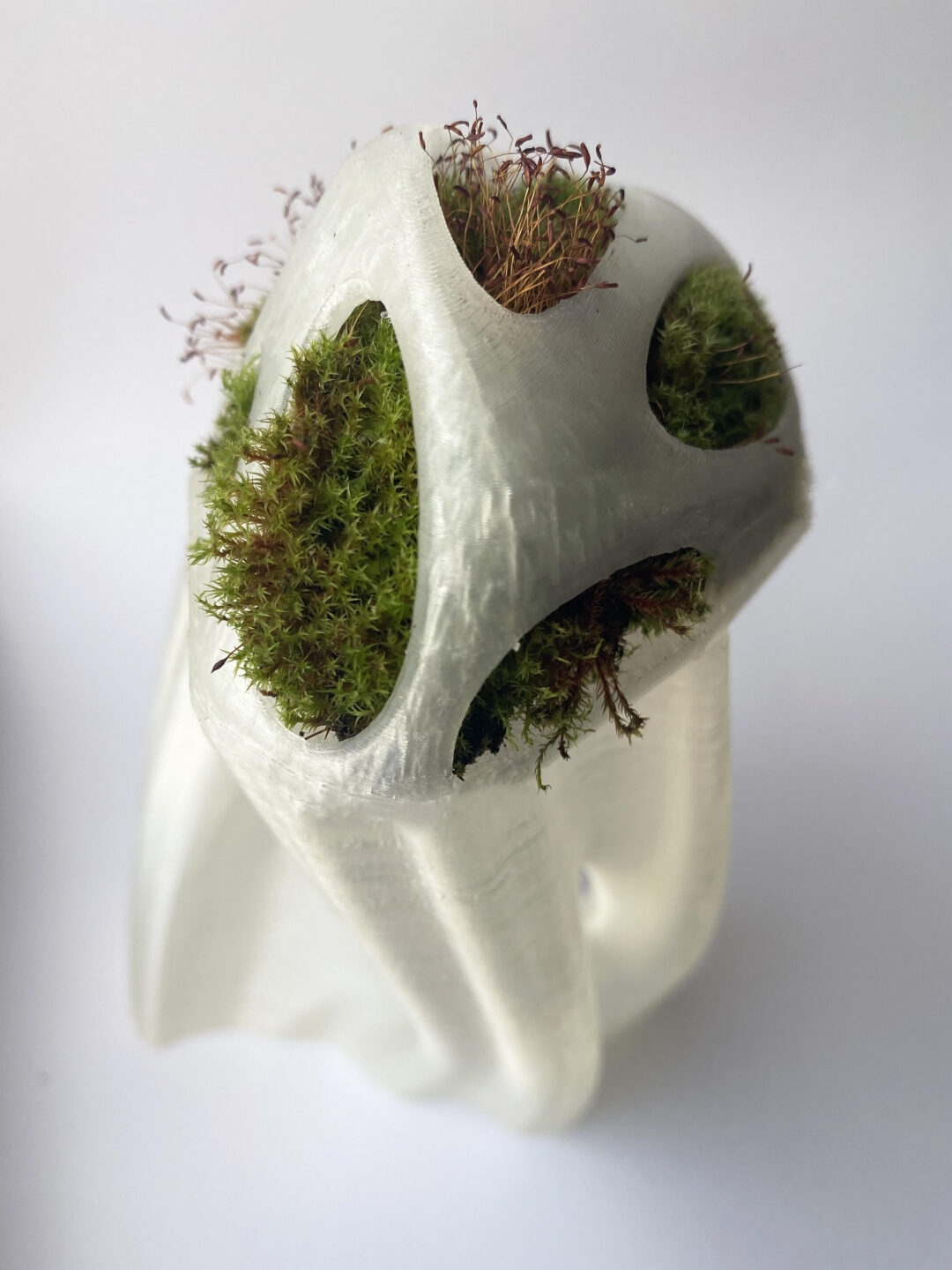 Marie-Louise-Jones-Untitled-rPLA-and-organic-matter-2023_2023-10-11-125312_uiyj